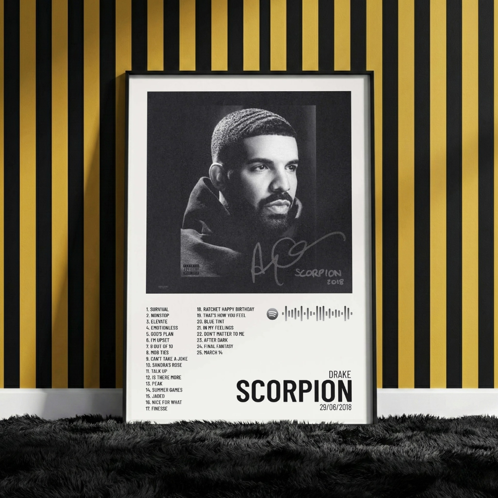 DRAKE POSTERS
